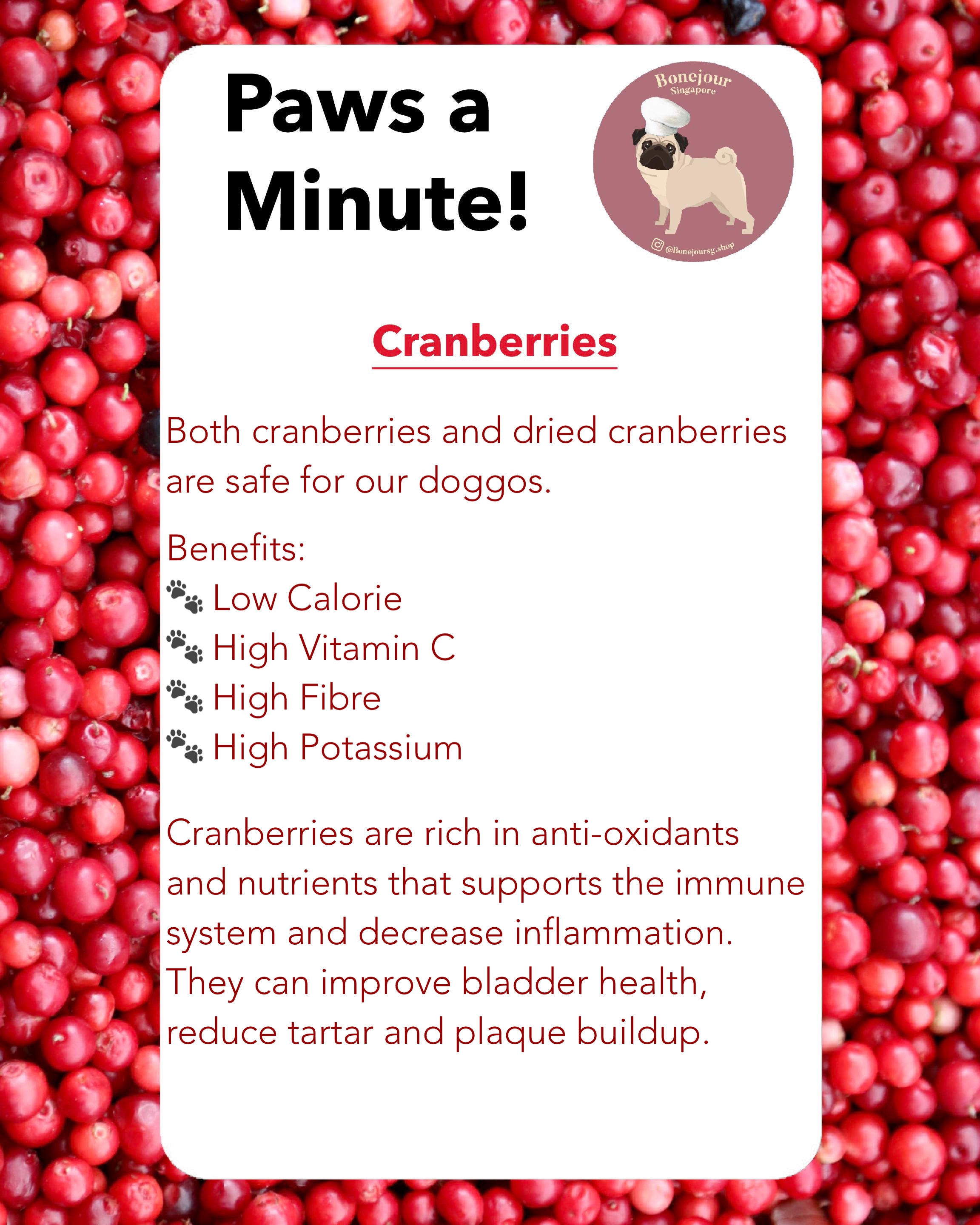 My dog ate dried requeste cranberries